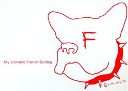 Frenchbull Face
