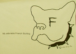 Frenchbull Face